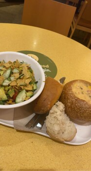 Panera Bread, Boston Turnpike, Shrewsbury, MA, USA foto #1