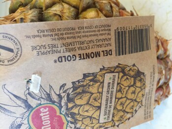 Pineapple, Merced, CA, USA Foto #1