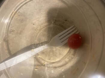 مراجعة المستهلك - سلامة الغذاء Zo Greek, Revolution Drive, Somerville, MA, USA Possibly a salad I ordered through uber eats  I orde... صورة فوتوغرافية #3