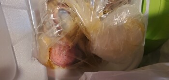 Consumer Review - Food Safety Crafty Crab, Crafty Crab, North Dale Mabry Highway, Tampa, FL, USA Seafood Both my mother and Wife g... photo #1