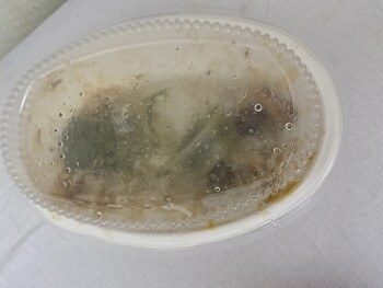 Bolay, Boca Raton, FL, USA photo #1