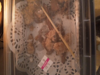 Foodtown of Valley Cottage, Valley Cottage, NY, USA photo #1