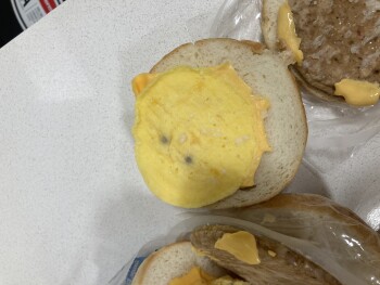 消费者评论 - 食品安全 Jimmy Dean Croissant egg and sausage, Albuquerque, NM, USA I ate half of a breakfast sandwich, reali... 照片 #3