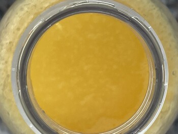 Verbraucherbewertung – Lebensmittelsicherheit Tim Hortons, Chemong Road, Peterborough, Ontario, Canada I had gone through the drive through around... Foto #2