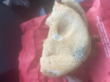 Consumer Review - Food Safety Chick-fil-A, Winston-Salem, NC, USA I at almost whole sand which with moldy bread photo #2