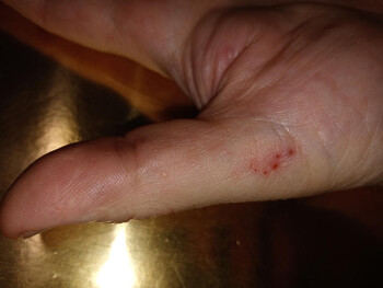 Chipotle Mexican Grill, Main Street, Hamilton, OH, USA 照片 #3