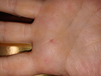 Chipotle Mexican Grill, Main Street, Hamilton, OH, USA 照片 #4