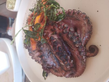 Small restaurant/street vendor, Cancún, Quintana Roo, Mexico photo #1