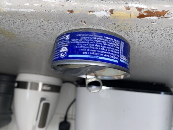 消费者评论 - 食品安全 Princes Tuna Chunks in Brine, Colindale, Edgware, UK She made a tuna sandwich at 12 She made her sel... 照片 #1