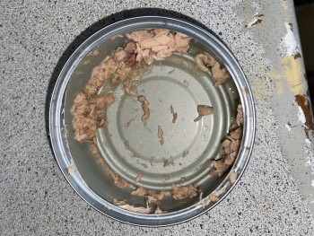 消费者评论 - 食品安全 Princes Tuna Chunks in Brine, Colindale, Edgware, UK She made a tuna sandwich at 12 She made her sel... 照片 #3