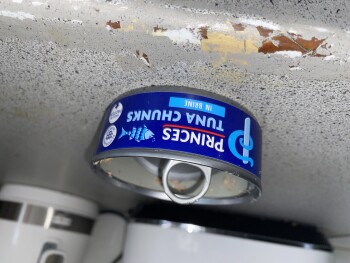 消费者评论 - 食品安全 Princes Tuna Chunks in Brine, Colindale, Edgware, UK She made a tuna sandwich at 12 She made her sel... 照片 #4