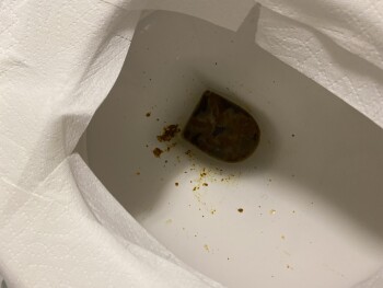 Five Guys, Tysons Corner Center, McLean, VA, USA photo #1