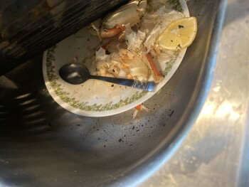 Snow Crab Legs, Market 32, Vandenburgh Avenue, Troy, NY, USA Foto #1