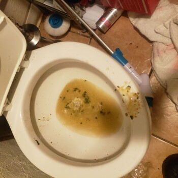 Wawa, Kedron Avenue, Morton, PA, USA photo #1