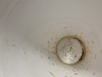 Sonic Drive-In, Branch Street, Seneca, KS, USA foto #1