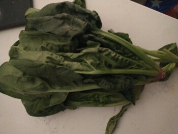 Consumer Review - Food Safety Spinach, Safeway, Rainier Avenue South, Seattle, WA, USA Purchased on 09/12/21 organic spinach bundl... photo #1