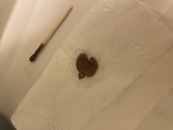 McDonald's Bulls Bridge Street, Bulls, New Zealand صورة فوتوغرافية #2