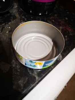 Consumer Review - Food Safety Morrisons, Kennedy Way, Tiverton, UK Yesterday and about 1.5 months ago Morrisons Tuna 4 pack in spr... photo #2