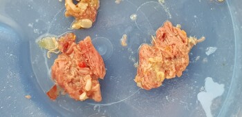 消费者评论 - 食品安全 Kingston Beach Early Learning Centre, Beach Road, Kingston Beach TAS, Australia Raw meat My 22 month... 照片 #1