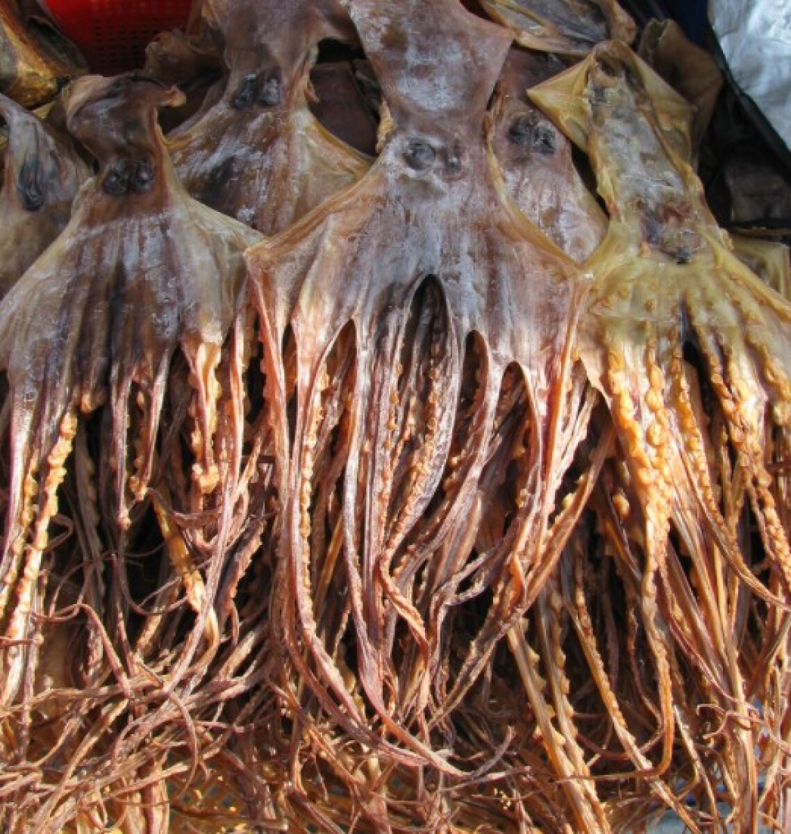 Canada Uncle Bill Seafood Dried Octopus recalled due to undeclared