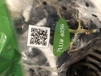 Consumer Review - Food Safety Safeway North Hill Mall, 14 Avenue Northwest, Calgary, AB, Canada Last Friday October 8 my daughter... photo #2