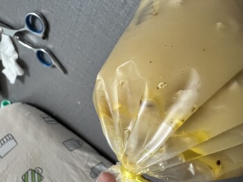 Consumer Food Safety Report RDS Restaurant Wangsa Maju Sdn bhd, Jalan 13/27b, Desa Setapak, Kuala Lumpur, Federal Territory of K... photo #3