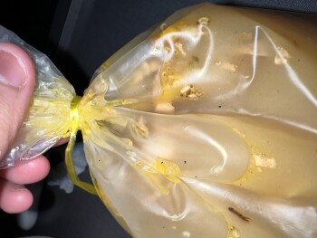 Consumer Food Safety Report RDS Restaurant Wangsa Maju Sdn bhd, Jalan 13/27b, Desa Setapak, Kuala Lumpur, Federal Territory of K... photo #2