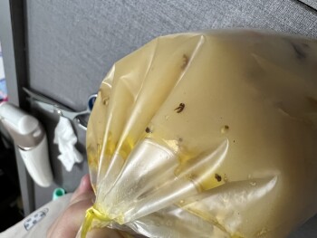 Consumer Food Safety Report RDS Restaurant Wangsa Maju Sdn bhd, Jalan 13/27b, Desa Setapak, Kuala Lumpur, Federal Territory of K... photo #4