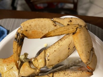 Consumer Food Safety Report San Bruno Supermarket, San Bruno Avenue, San Francisco, CA, USA It's been about one hour post eating... photo #1