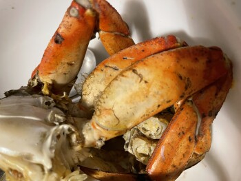 Consumer Food Safety Report San Bruno Supermarket, San Bruno Avenue, San Francisco, CA, USA It's been about one hour post eating... photo #3