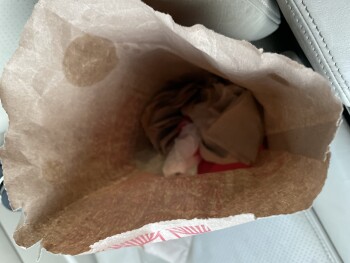 Wendy's, Howell Mill Road, Atlanta, GA, USA foto #1