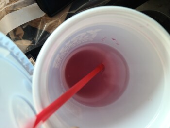 Wendy's, Ohio 37, Sunbury, OH, USA photo #1