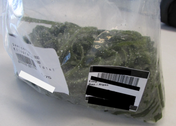 Rappel d'aliments Alge Kelp Streifen seaweed - recalled due to high level of iodine The FSAI announced the recall of... photo #1