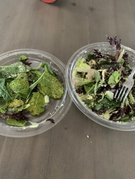 Panera Bread, Smithfield Crossing, Smithfield, RI, USA photo #1