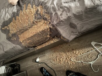 Five Guys, East Hallandale Beach Boulevard, Hallandale Beach, FL, USA photo #1