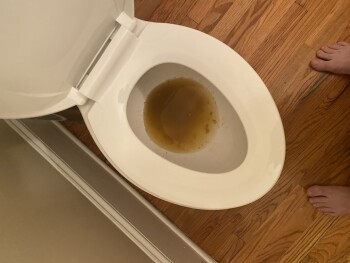 OneBite Pizza, Raleigh, NC, USA 照片 #1