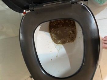 Zava Smoker - Avenida João Carlos da Silva Borges - Vila Cruzeiro, São Paulo - SP, Brazil foto #1