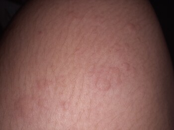 Sauteed Mushrooms, Subang Jaya, Selangor, Malaysia photo #1