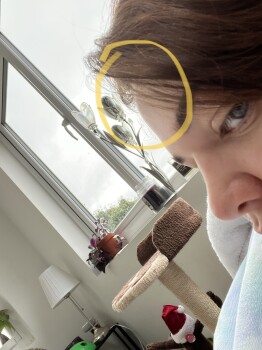 Consumer Review - Food Safety KFC Newhaven, Drove Road, Newhaven, UK I ate out there yesterday lunchtime, I felt fine most of the... photo #1