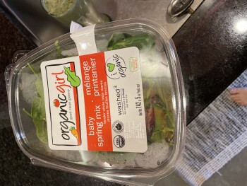 Baby spring mix , Kootenay Co-op Grocery Store, Baker Street, Nelson, BC, Canada foto #1