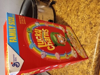 Save A Lot, Edgmont Avenue, Brookhaven, PA, USA photo #1