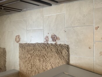 Lucky charms, Family Dollar, East 10 Mile Road, Center Line, MI, USA photo #1