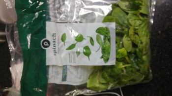 Publix Super Market at Chelsea Place, Seven Springs Boulevard, New Port Richey, FL, USA photo #1