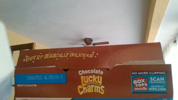 Lucky Charms Chocolate, Daytona Beach, FL, USA photo #1
