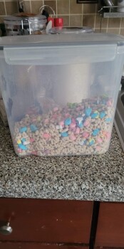 Lucky charms, Philadelphia, PA, USA photo #1