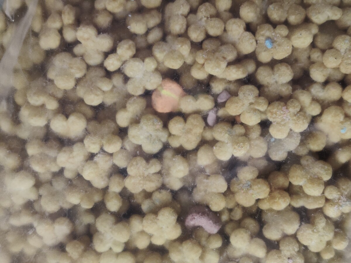 Lucky Charms Make You sick? What you need to know