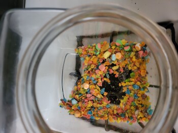 Lucky Charms, Cathedral City, CA, USA photo #1