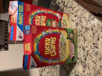 Dollar General, Wilson Boulevard, Jacksonville, FL, USA photo #1