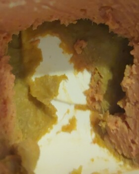 Consumer Review - Food Safety Lidl, Church Hill, Loughton, UK Lidl patè Bought Monday opened Tuesday. Use by date we'll into May.... photo #1