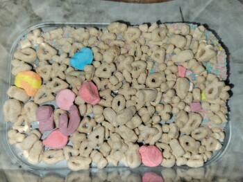 Lucky Charms,  Walmart Supercenter, North Central Avenue, Marshfield, WI, USA photo #1